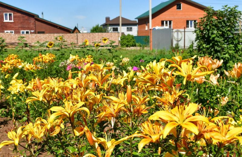 Что нужно знать прикамским садоводам о возможностях газификации домов в СНТ