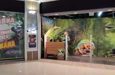 ​Пермского предпринимателя оштрафовали за показ пауков без лицензии и ветеринарных документов