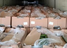 Казахстан в четыре раза нарастил поставки огурцов в Прикамье