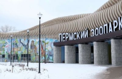 В ближайшие две недели в новый пермский зоопарк перевезут тропических птиц