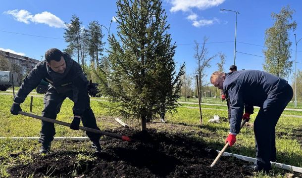 В Березниках дали старт озеленению в городе