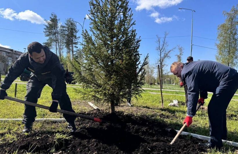 В Березниках дали старт озеленению в городе