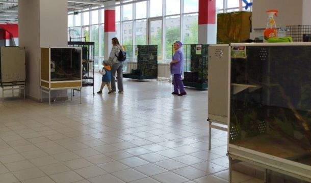 В Краснокамске предпринимателя оштрафовали за организацию выставки животных с нарушениями