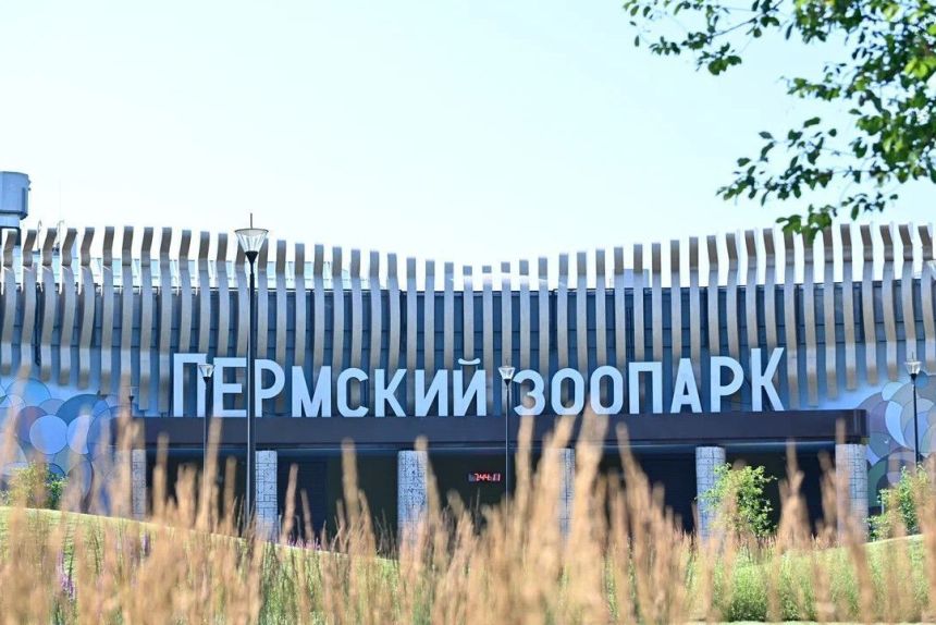 «Свой круг»: почему закупки Пермского зоопарка вызывают вопросы