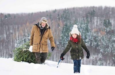 ​Рассказываем, как продлить жизнь новогоднему дереву​