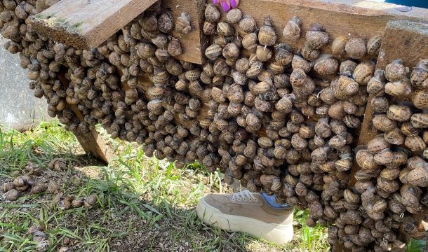 Прикамье наращивает экспортные направления, не забывая про внутренний рынок