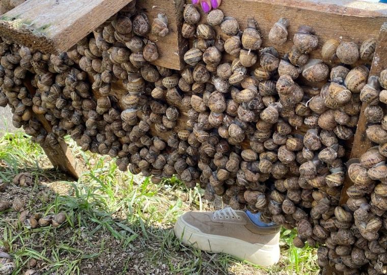 Прикамье наращивает экспортные направления, не забывая про внутренний рынок