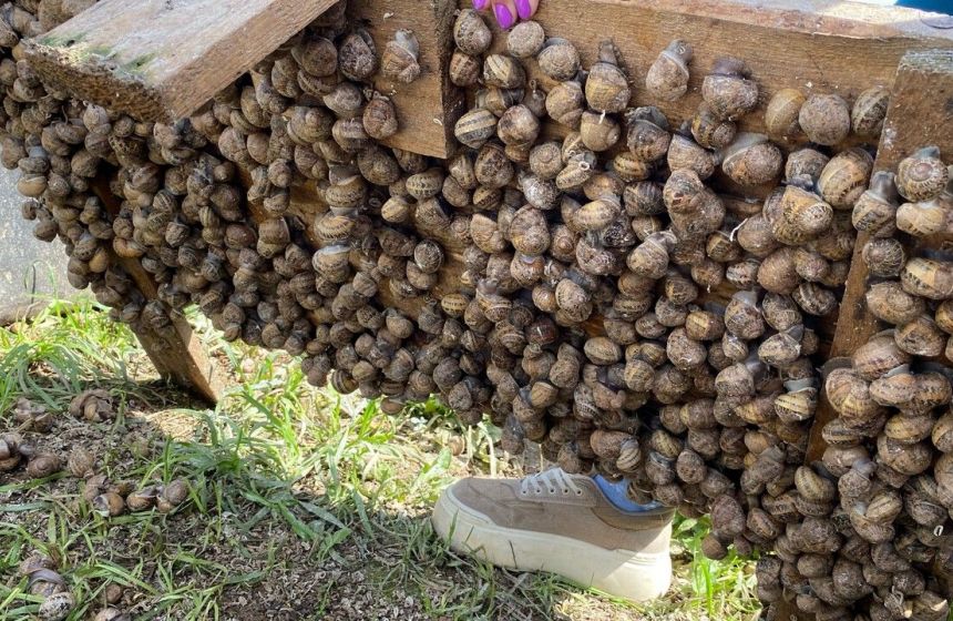 Прикамье наращивает экспортные направления, не забывая про внутренний рынок