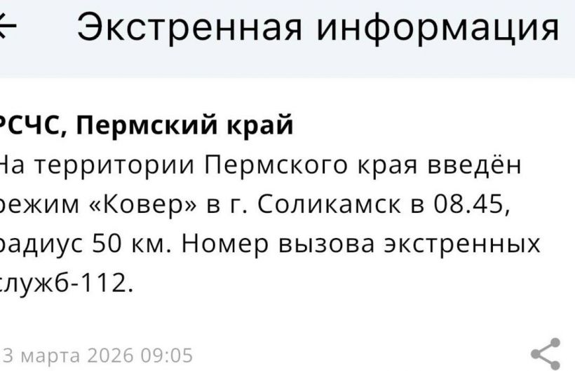 В аэропорту Перми ввели ограничения, а в Соликамске объявили сигнал «Ковер» 